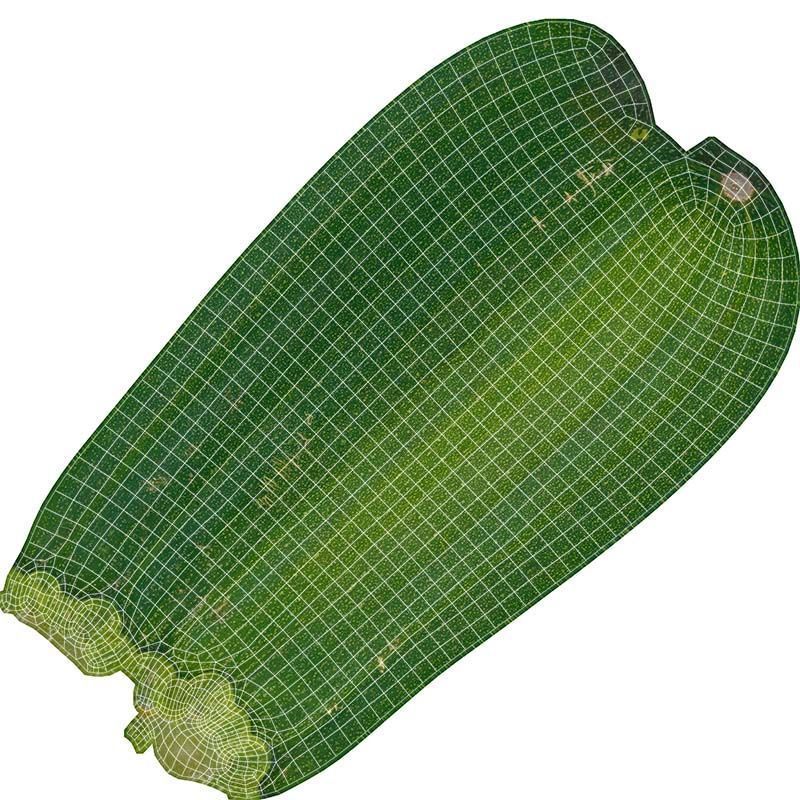 Courgette Low-poly 3D model_14