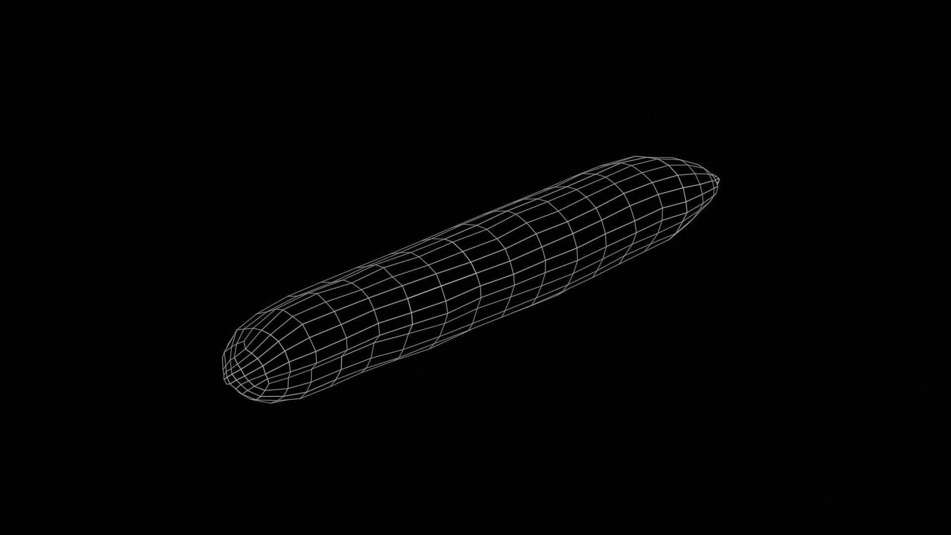 Cucumber Low-poly 3D model_11