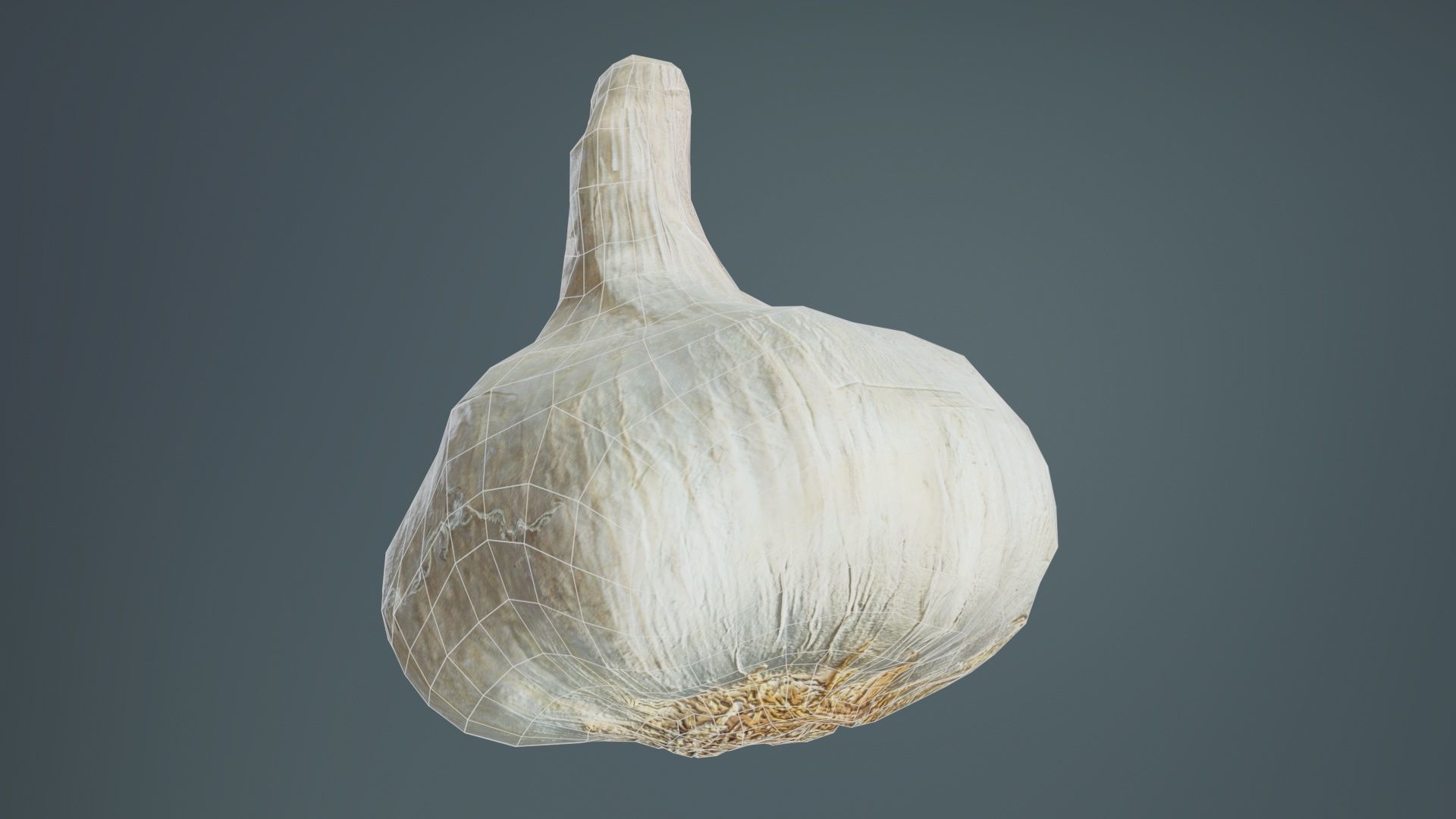 Garlic Low-poly 3D model_9