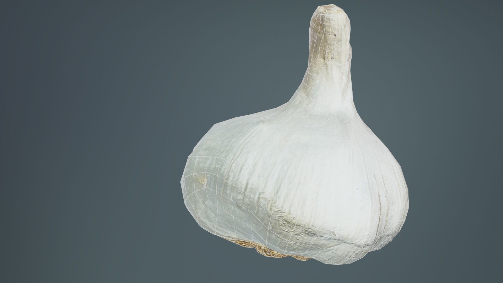 Garlic Low-poly 3D model_10