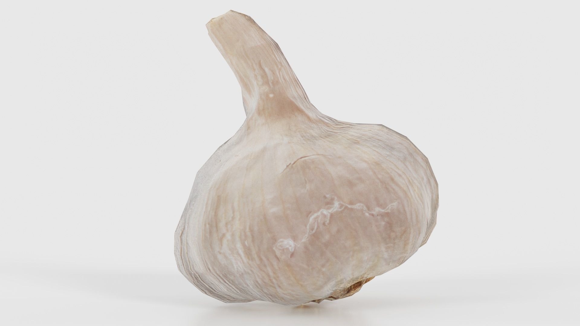 Garlic Low-poly 3D model_17