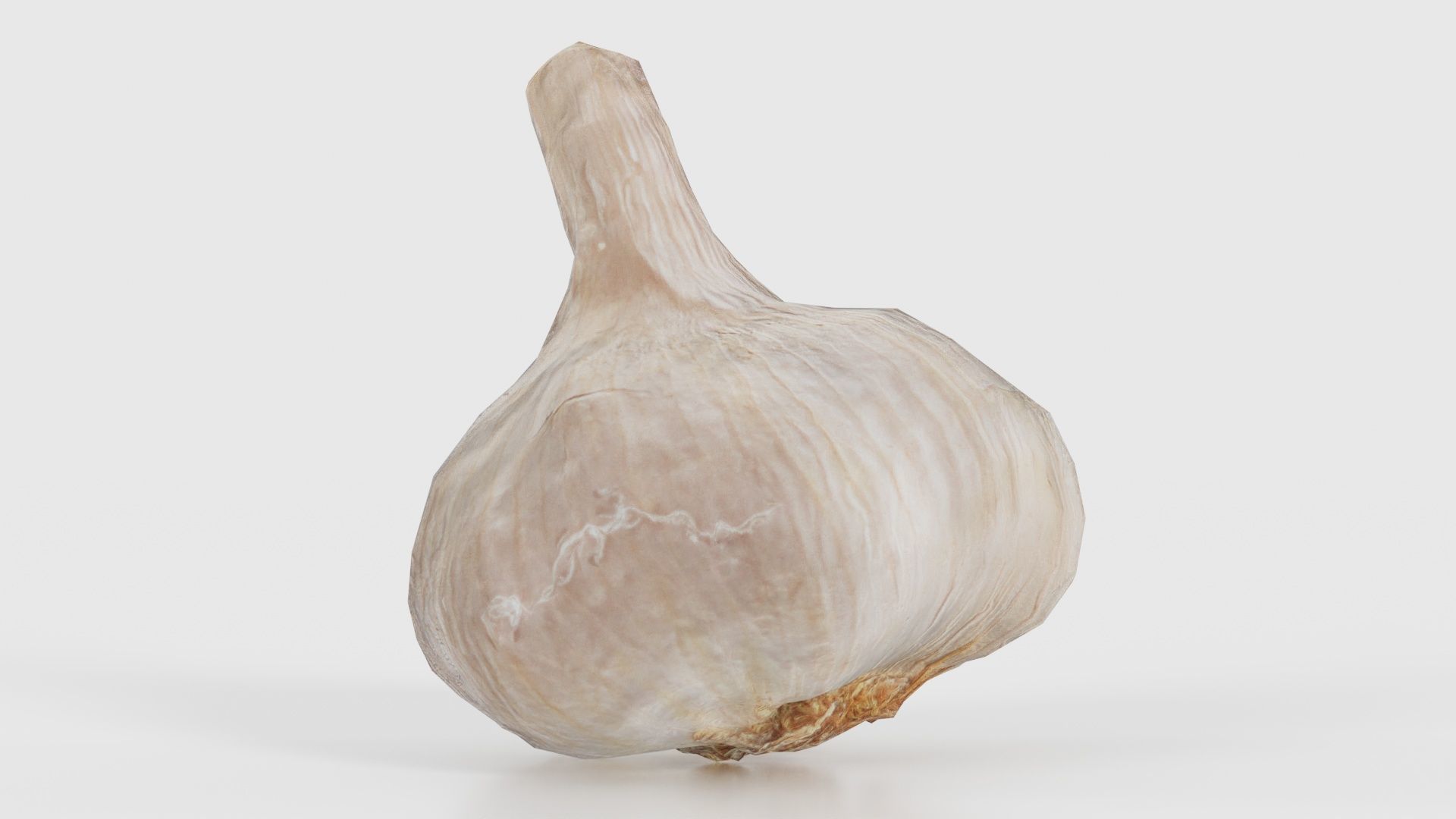 Garlic Low-poly 3D model_16