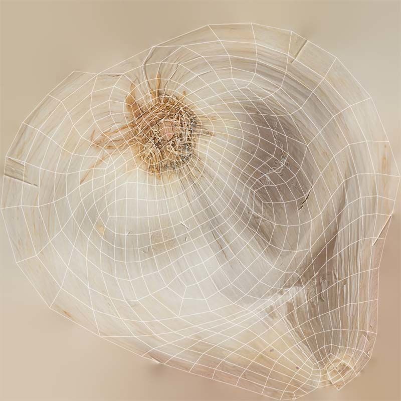 Garlic Low-poly 3D model_14