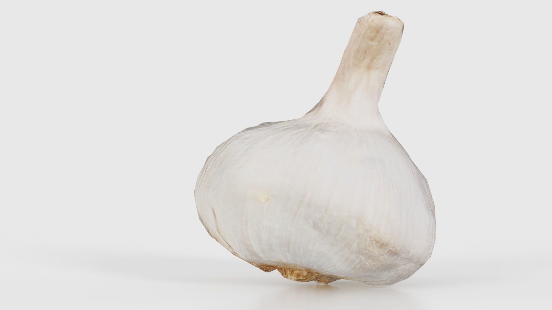 Garlic Low-poly 3D model_22