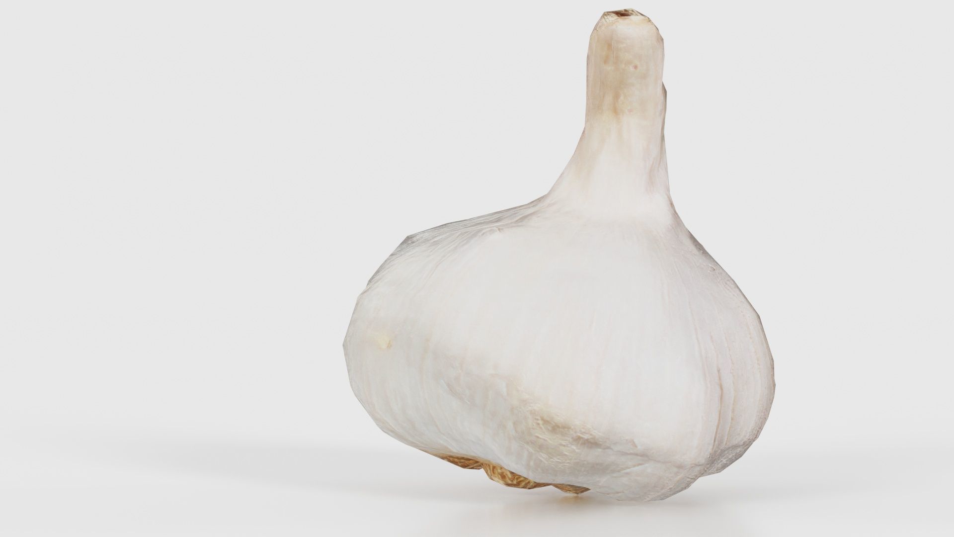 Garlic Low-poly 3D model_21