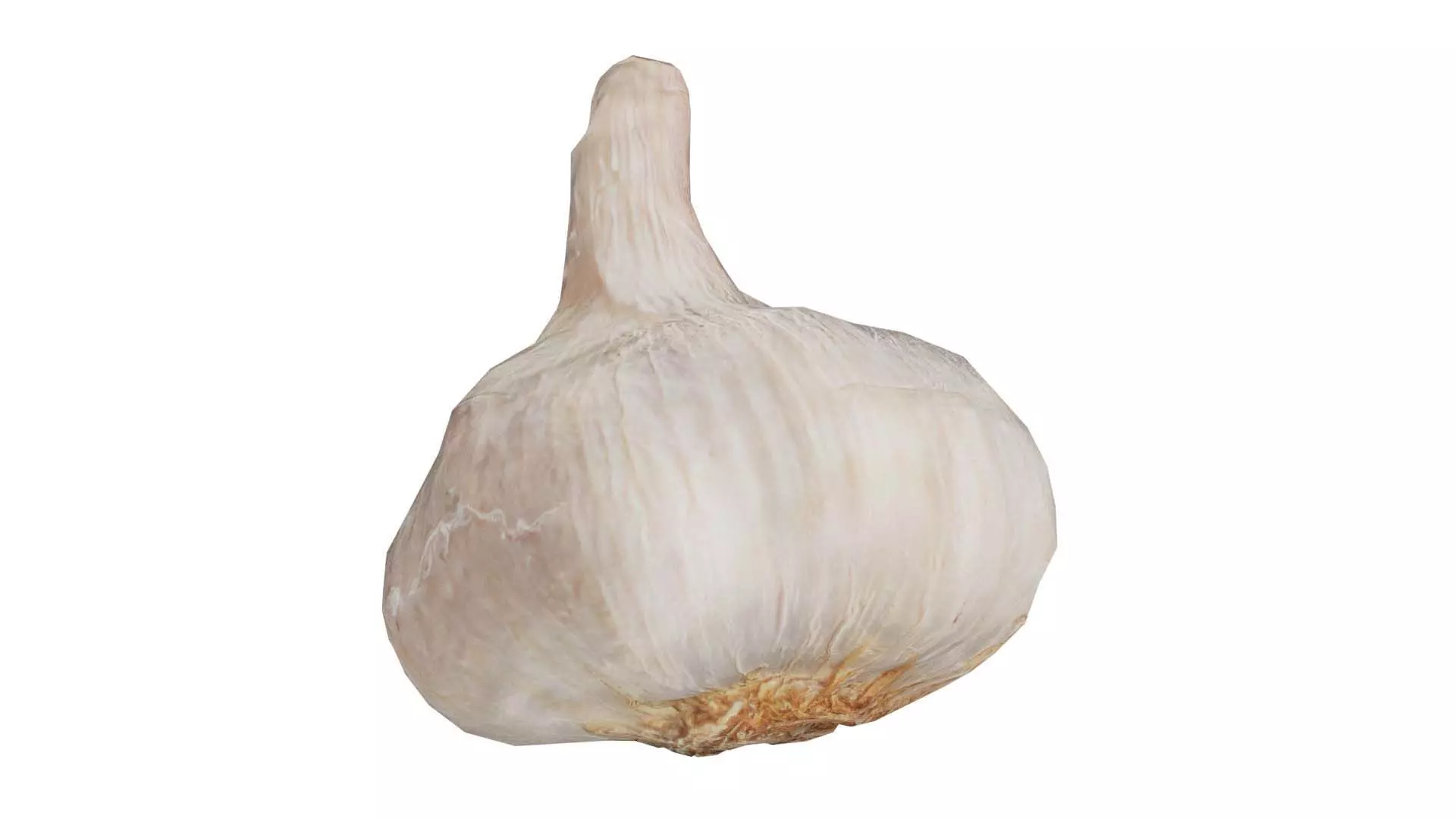 Garlic Low-poly 3D model_0