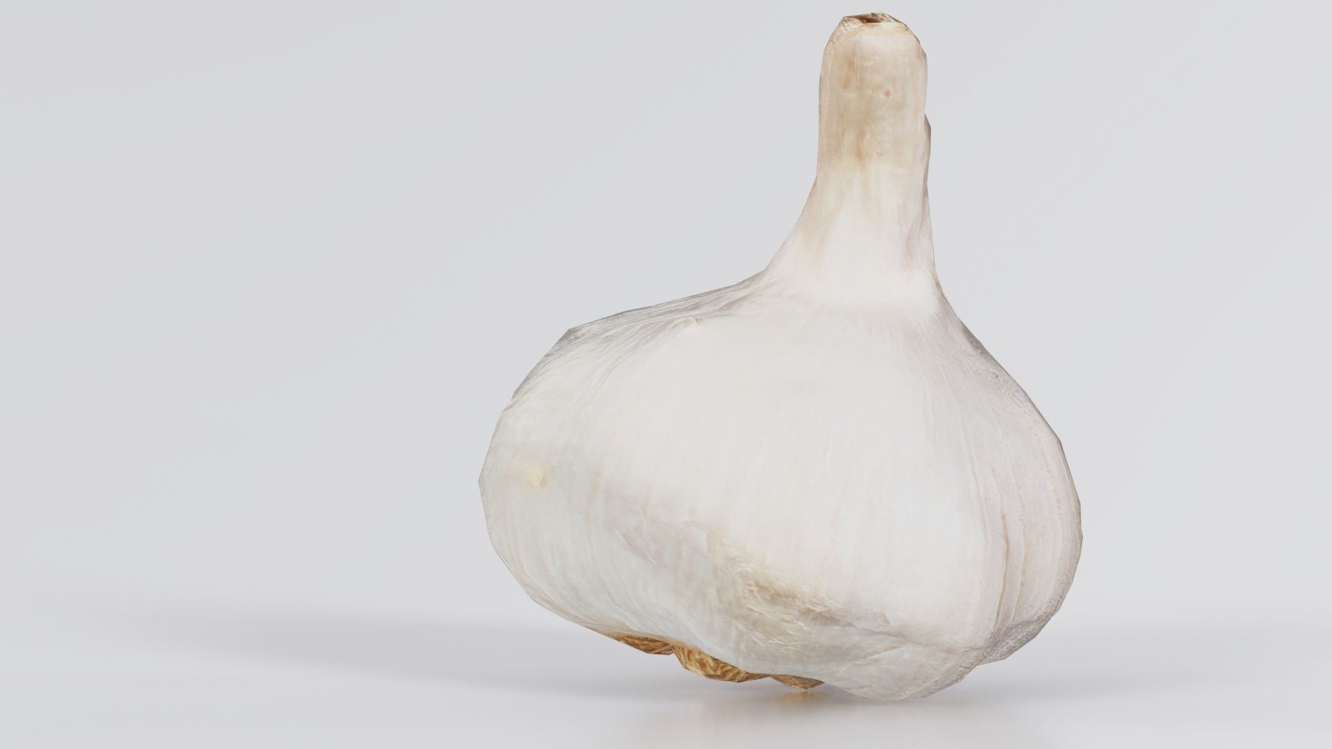 Garlic Low-poly 3D model_4