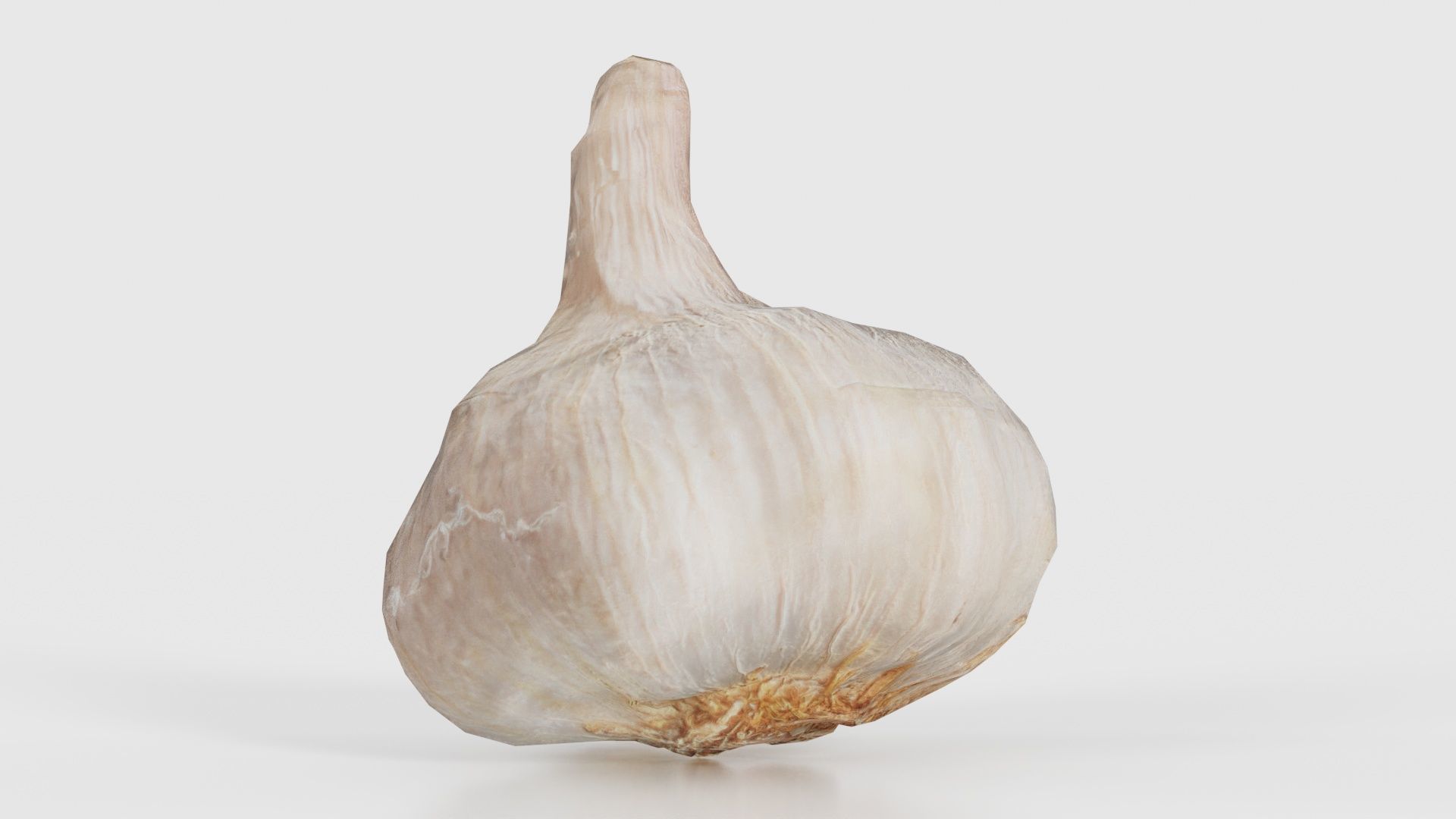 Garlic Low-poly 3D model_15