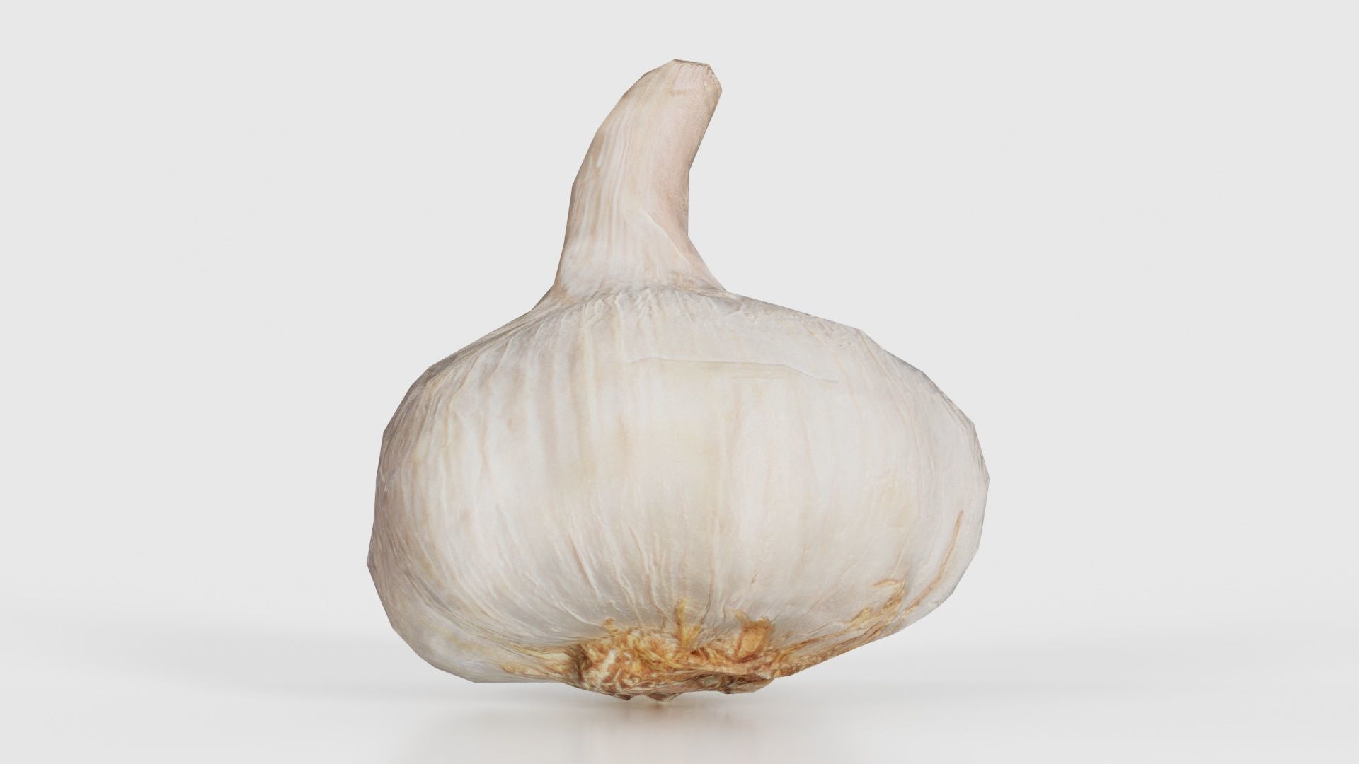 Garlic Low-poly 3D model_26