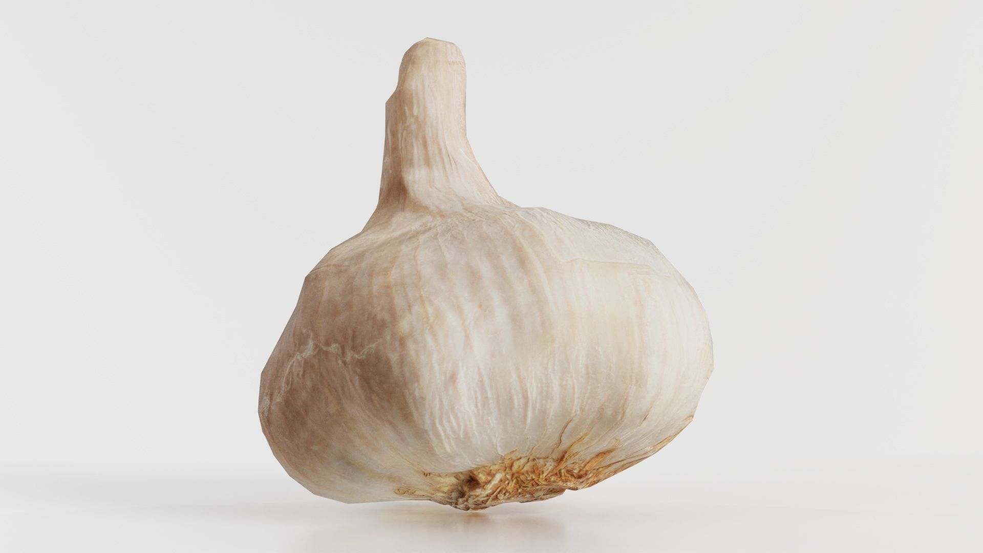 Garlic Low-poly 3D model_1
