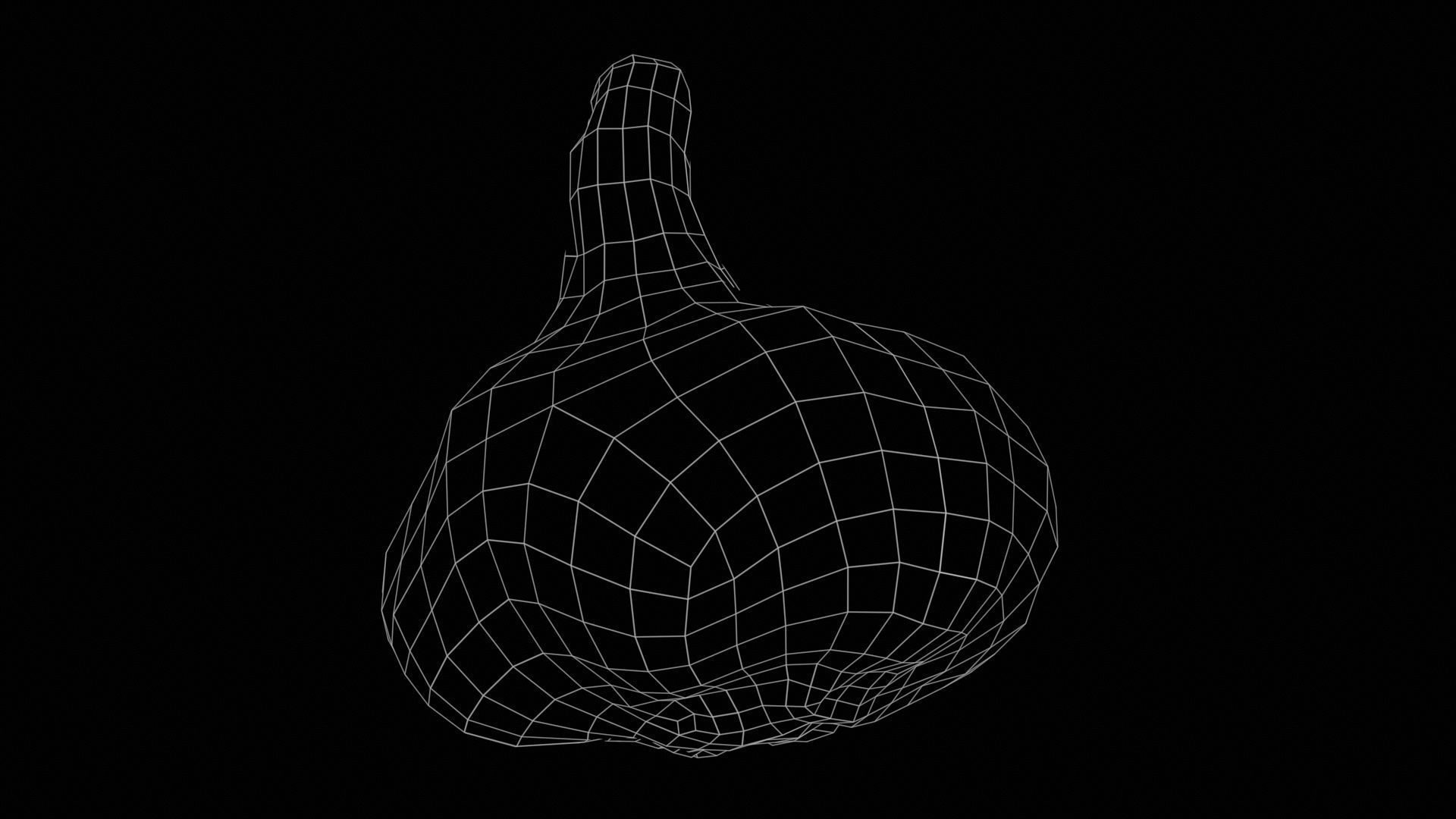 Garlic Low-poly 3D model_11