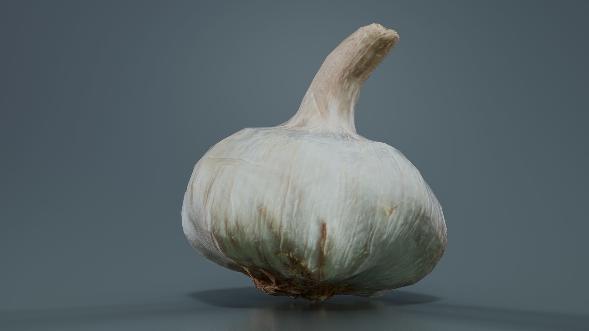 Garlic Low-poly 3D model_6