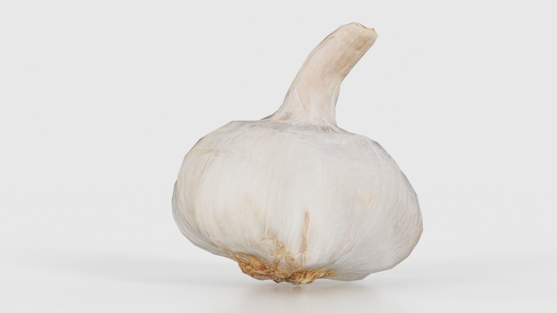 Garlic Low-poly 3D model_24