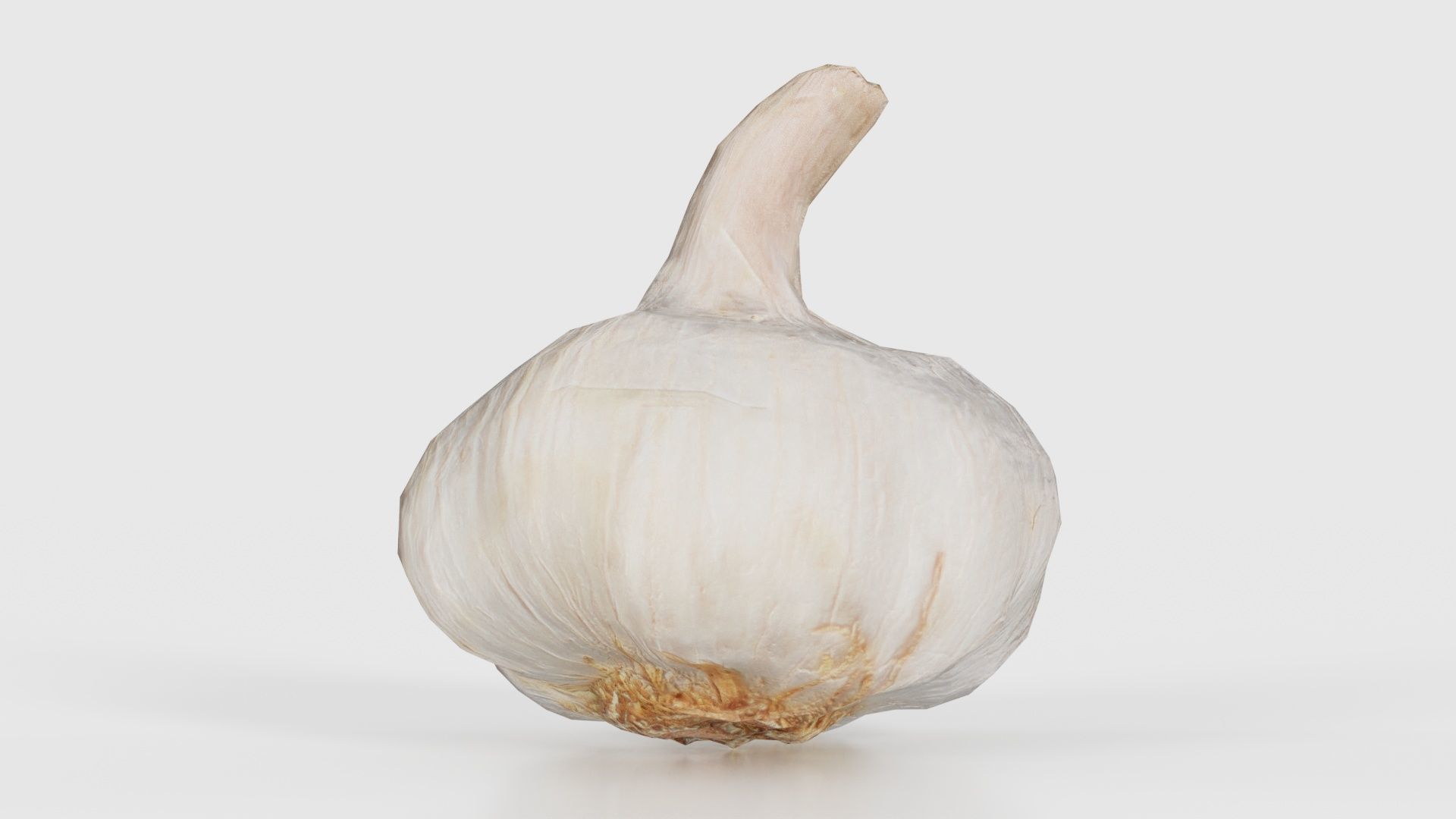 Garlic Low-poly 3D model_25