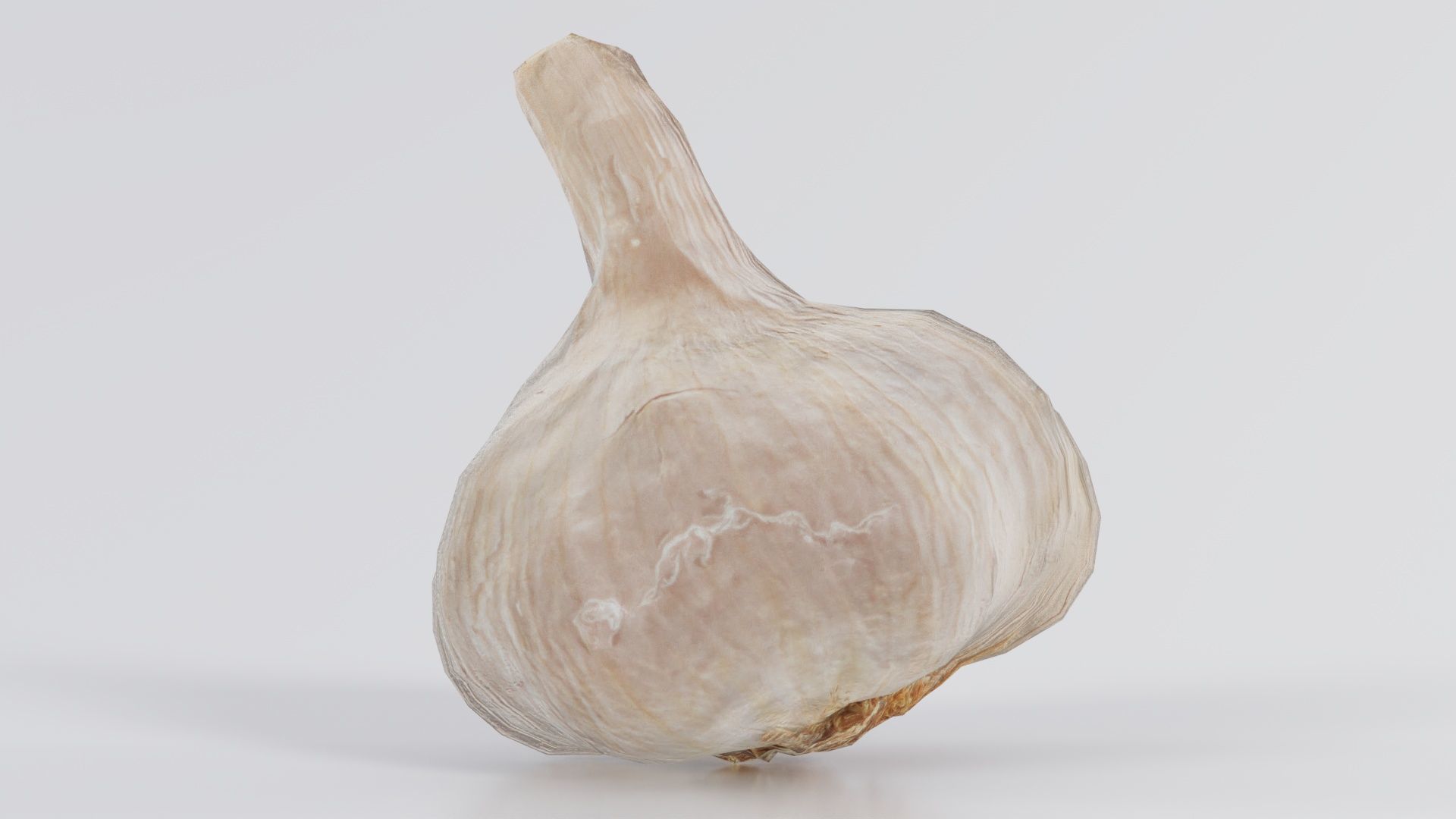 Garlic Low-poly 3D model_5
