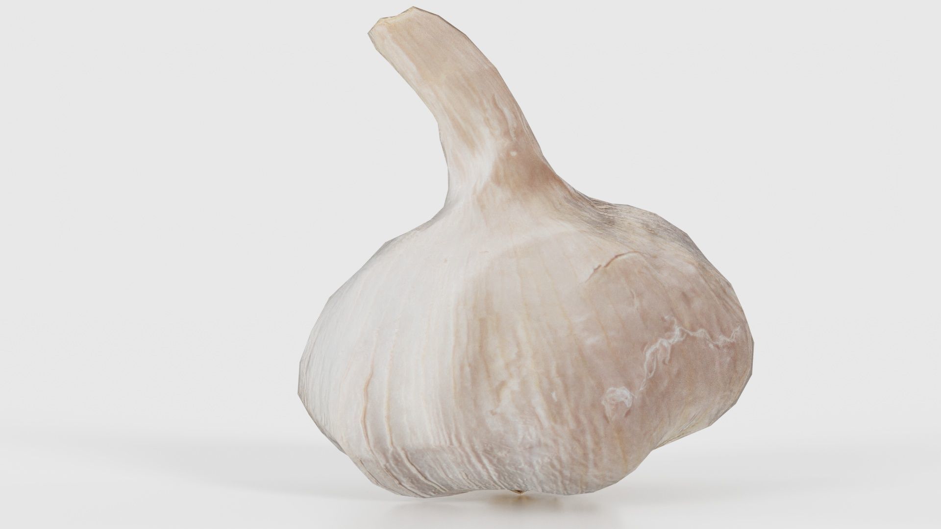 Garlic Low-poly 3D model_18
