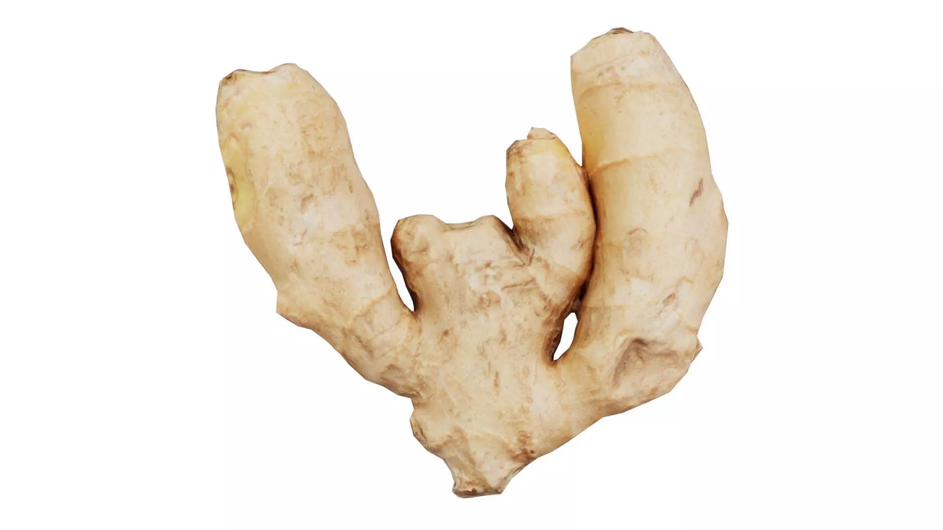 Ginger Low-poly 3D model