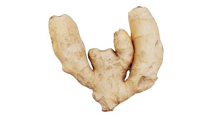 Ginger Low-poly 3D model