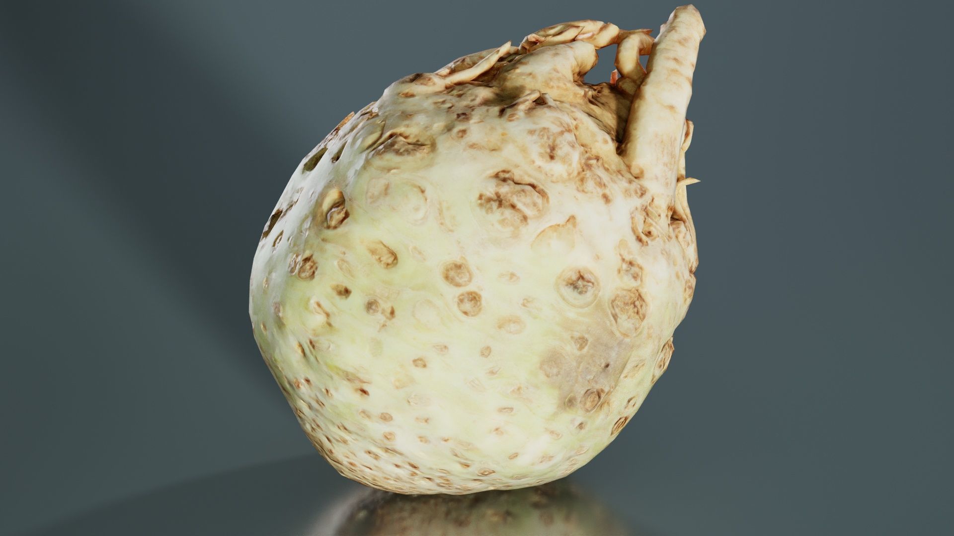 Koolraap Low-poly 3D model_6