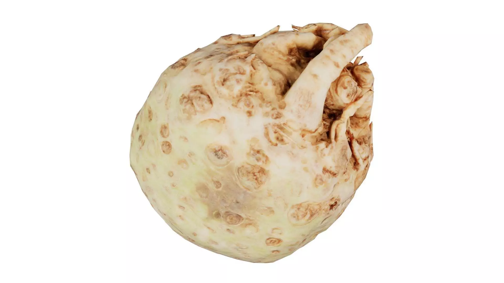 Koolraap Low-poly 3D model_0