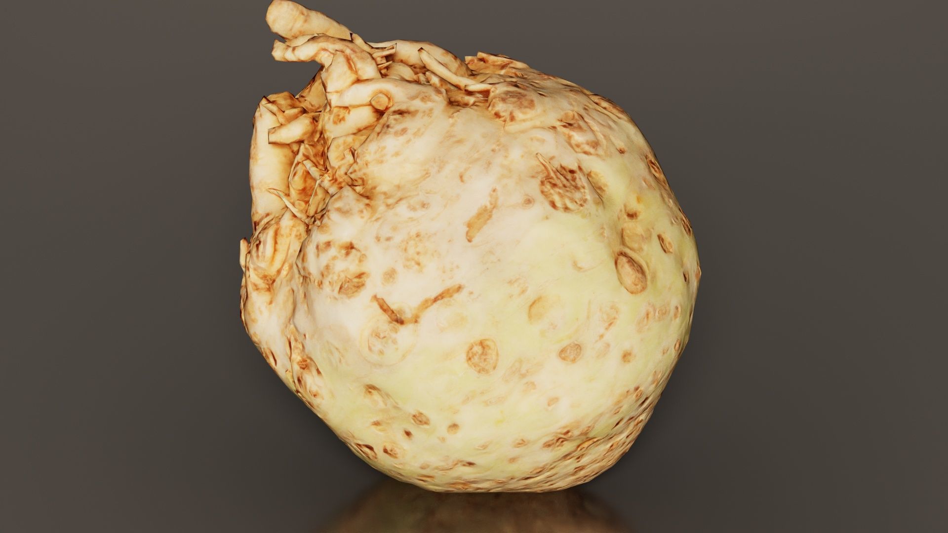 Koolraap Low-poly 3D model_1