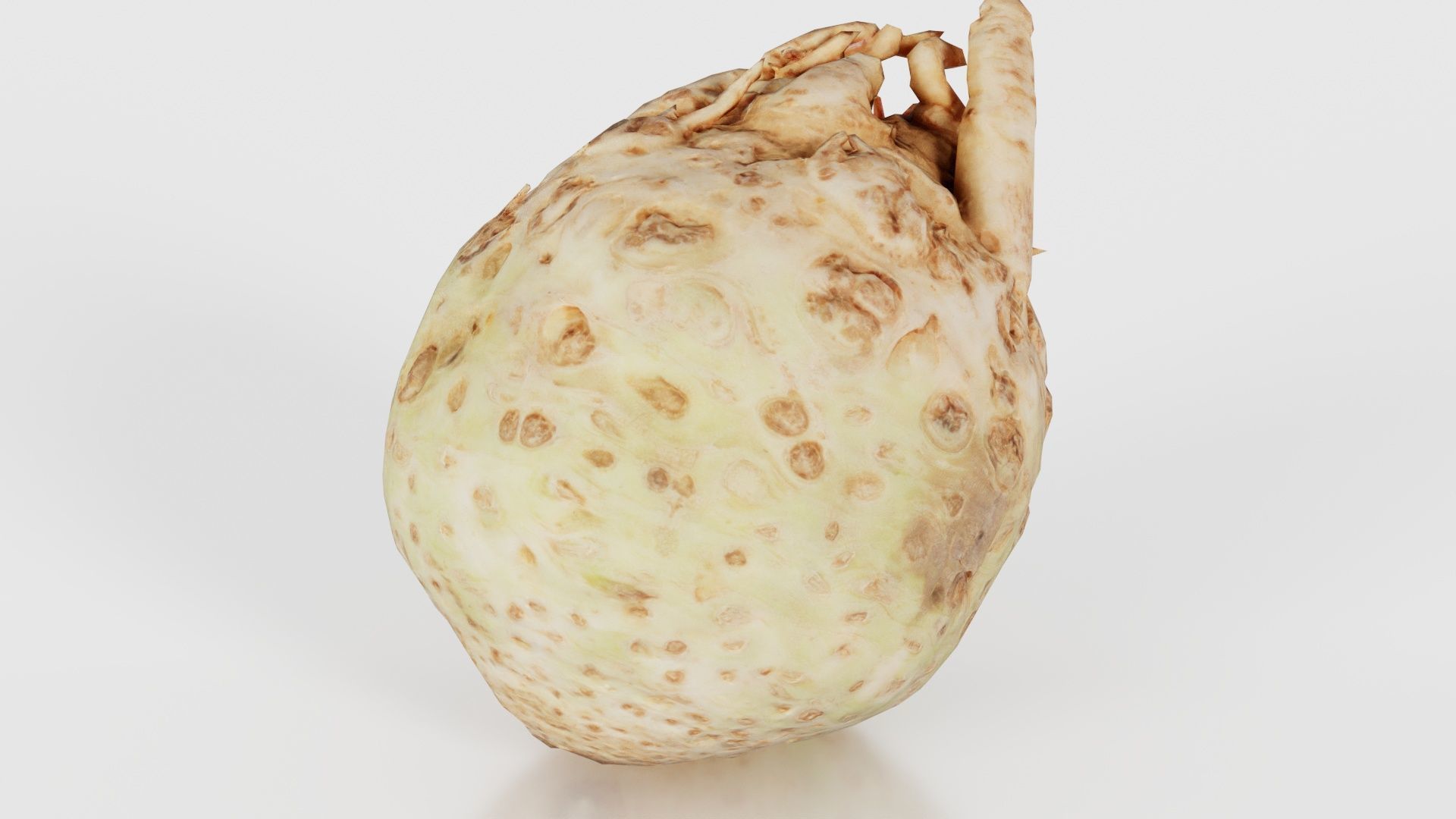 Koolraap Low-poly 3D model_17