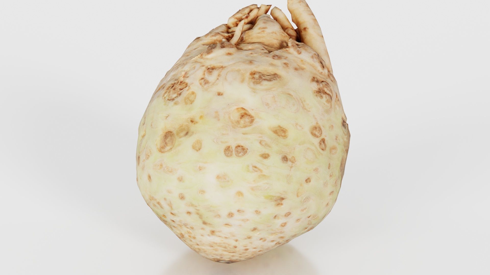 Koolraap Low-poly 3D model_18