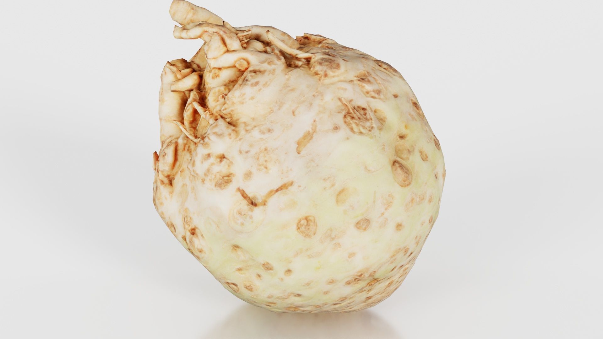 Koolraap Low-poly 3D model_21