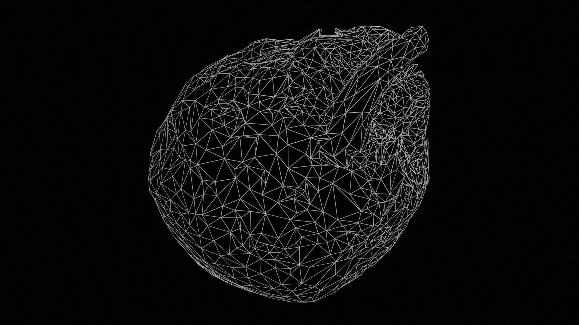 Koolraap Low-poly 3D model_11