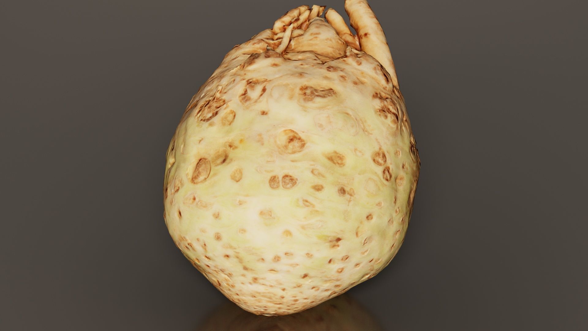 Koolraap Low-poly 3D model_4