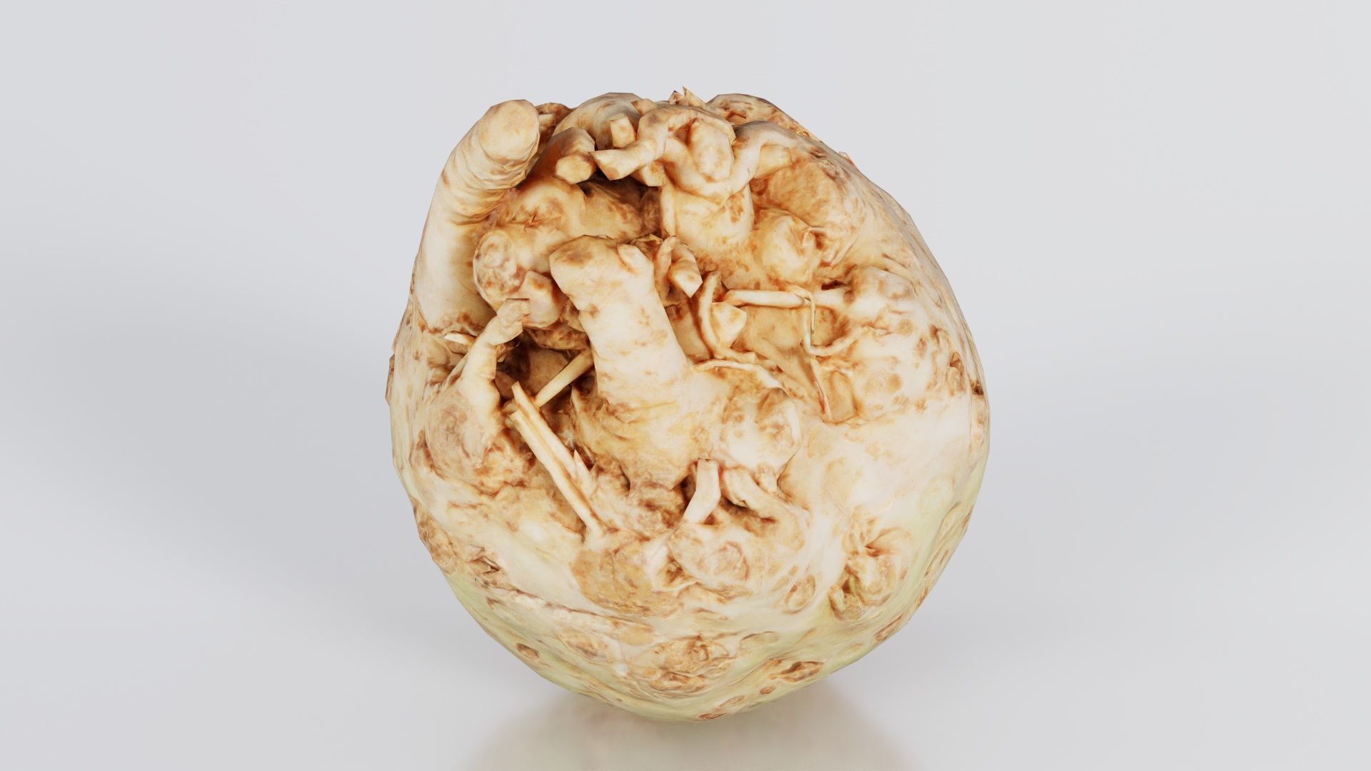 Koolraap Low-poly 3D model_8