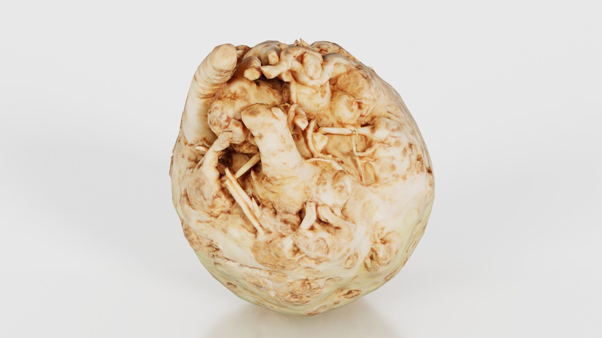 Koolraap Low-poly 3D model_24