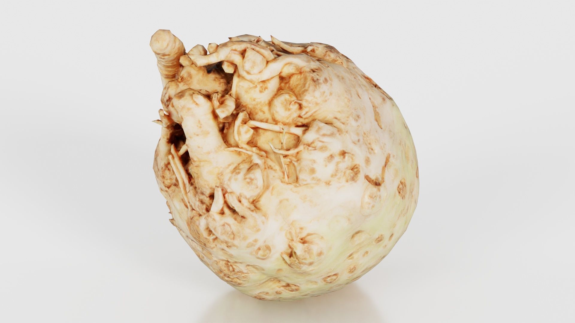 Koolraap Low-poly 3D model_23