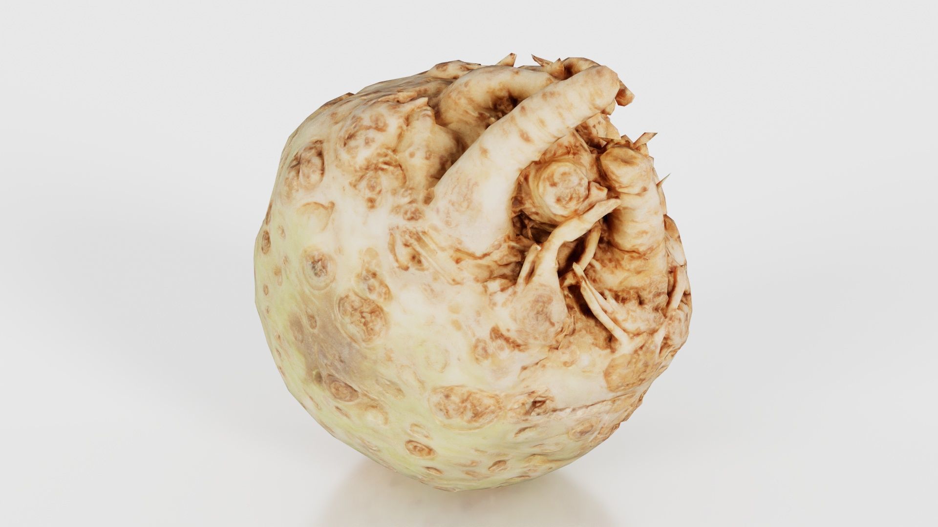 Koolraap Low-poly 3D model_26