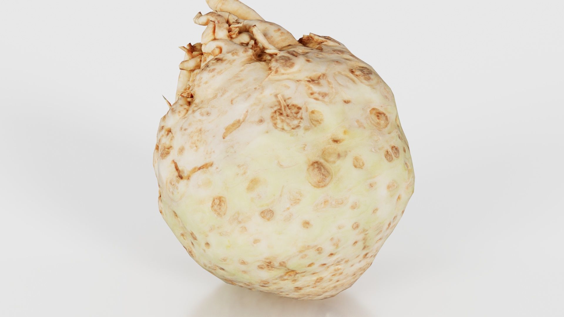 Koolraap Low-poly 3D model_20