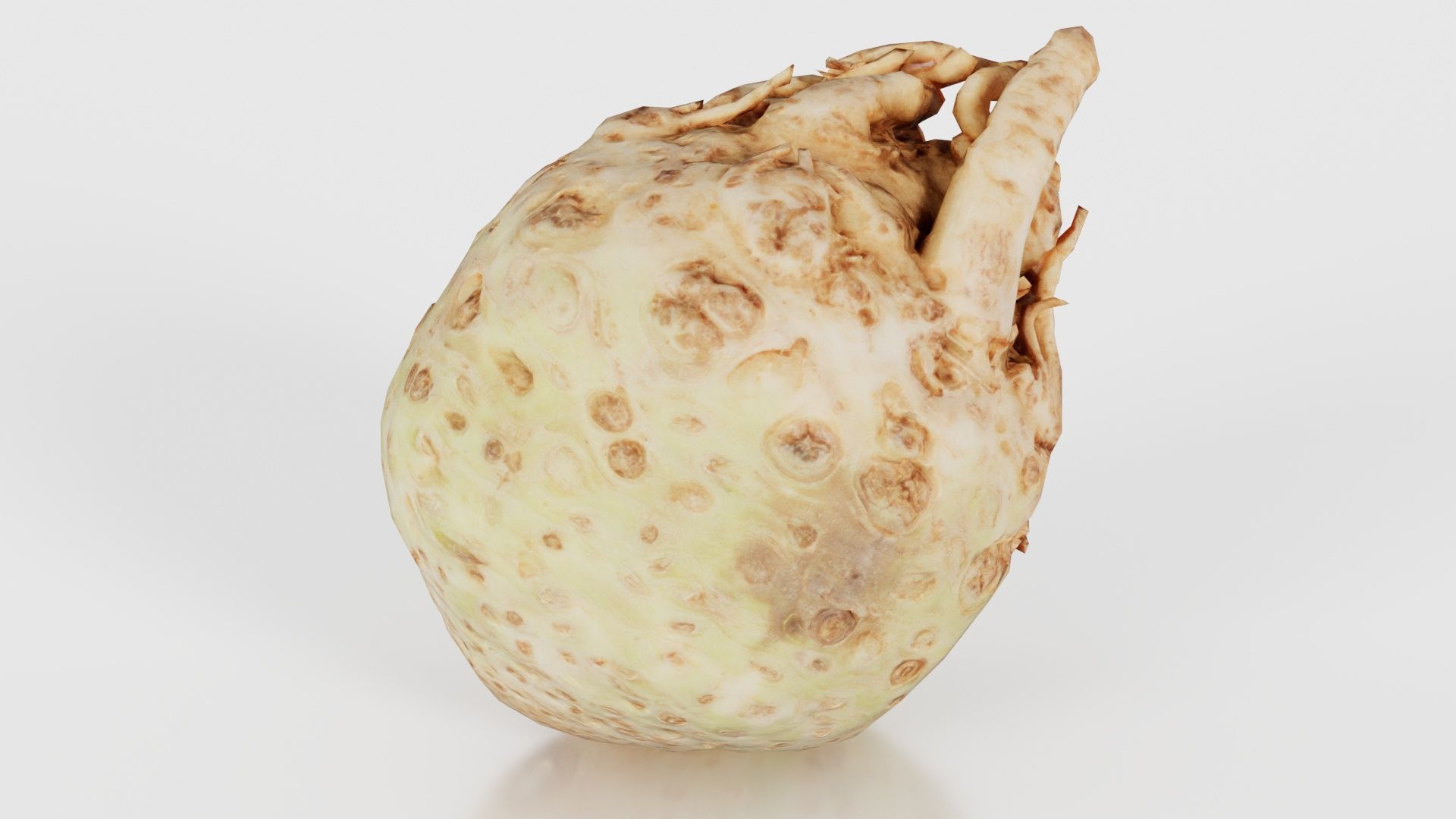 Koolraap Low-poly 3D model_16