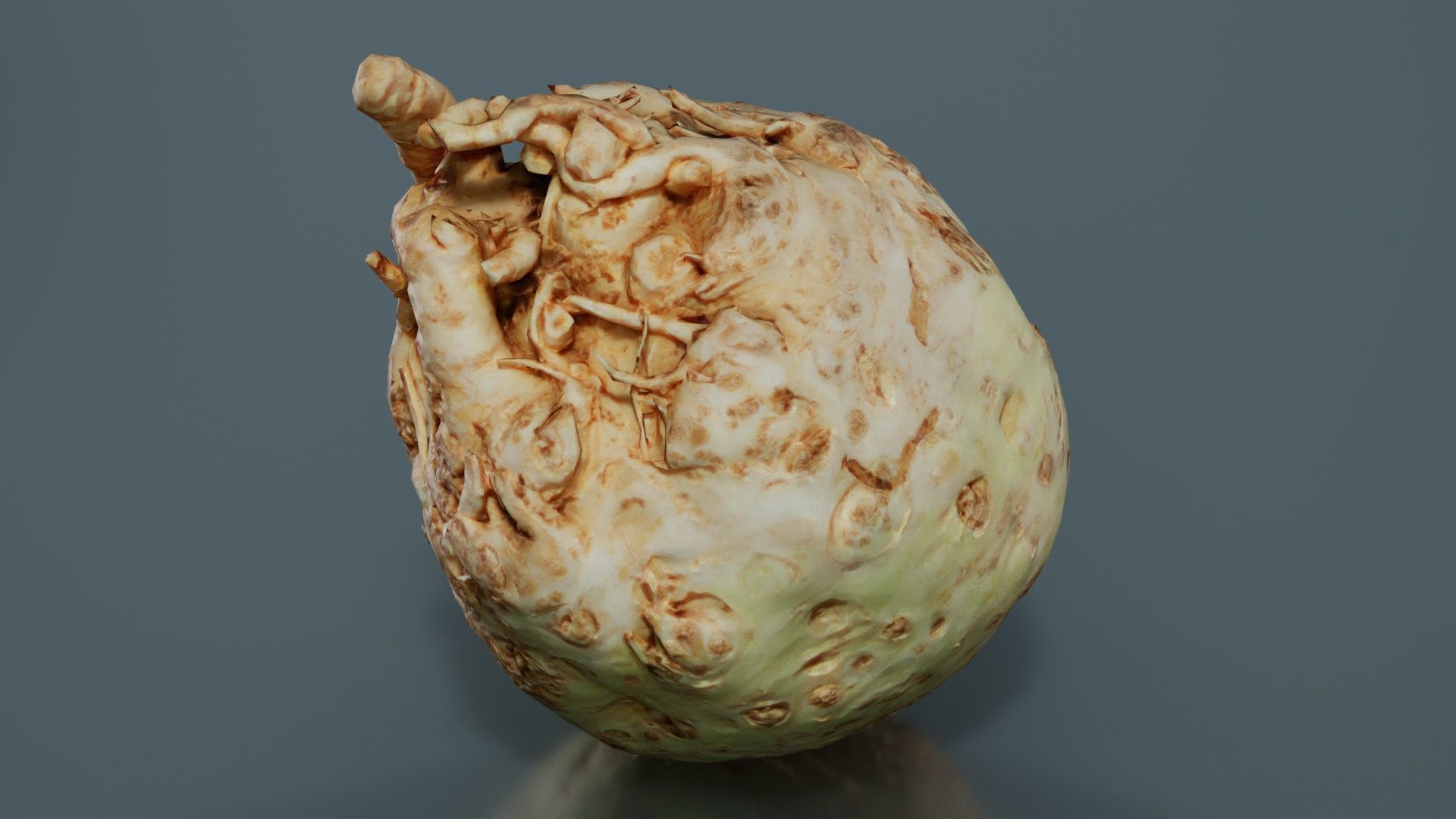 Koolraap Low-poly 3D model_3