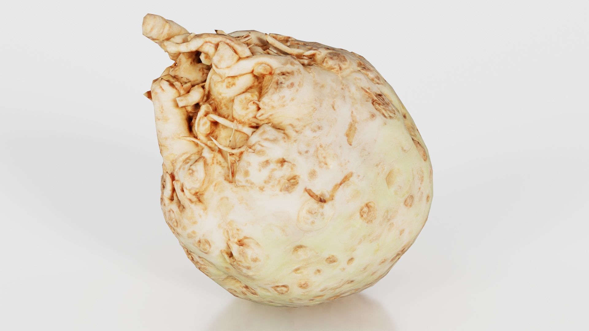 Koolraap Low-poly 3D model_22