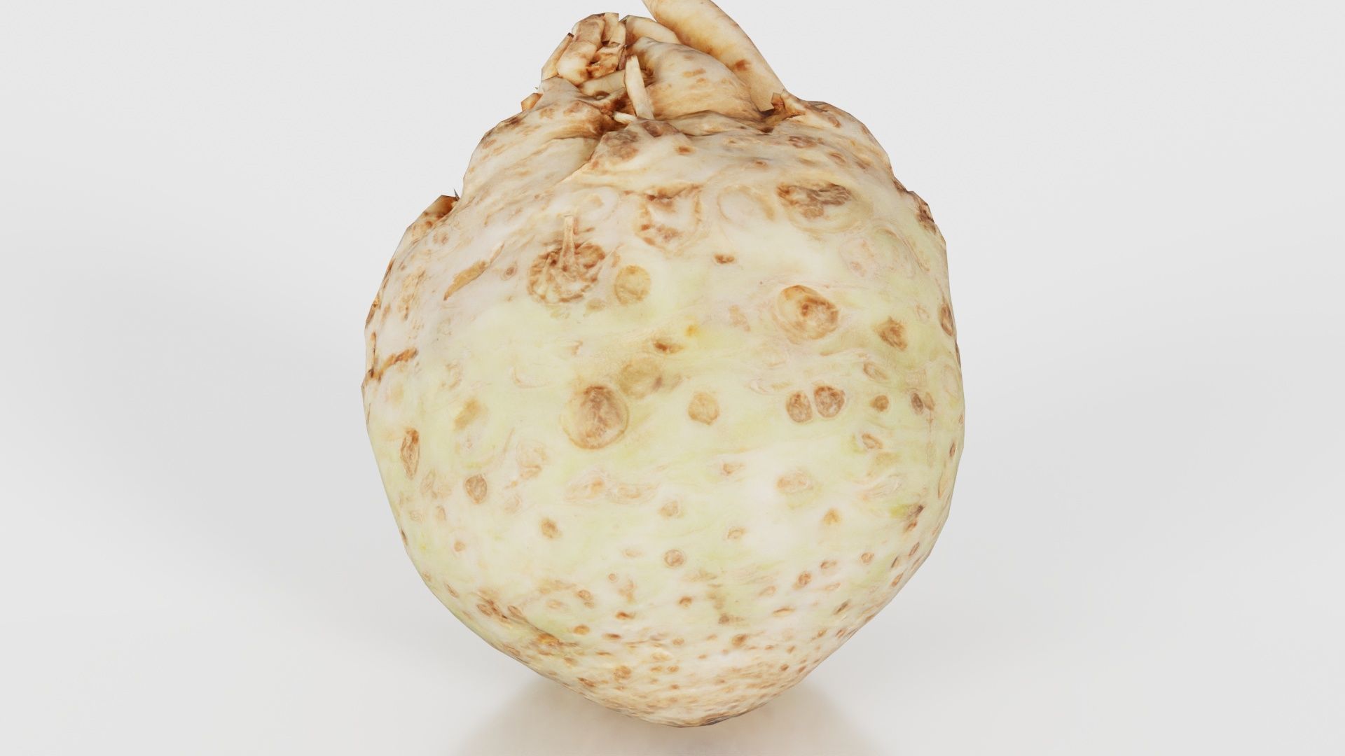 Koolraap Low-poly 3D model_19