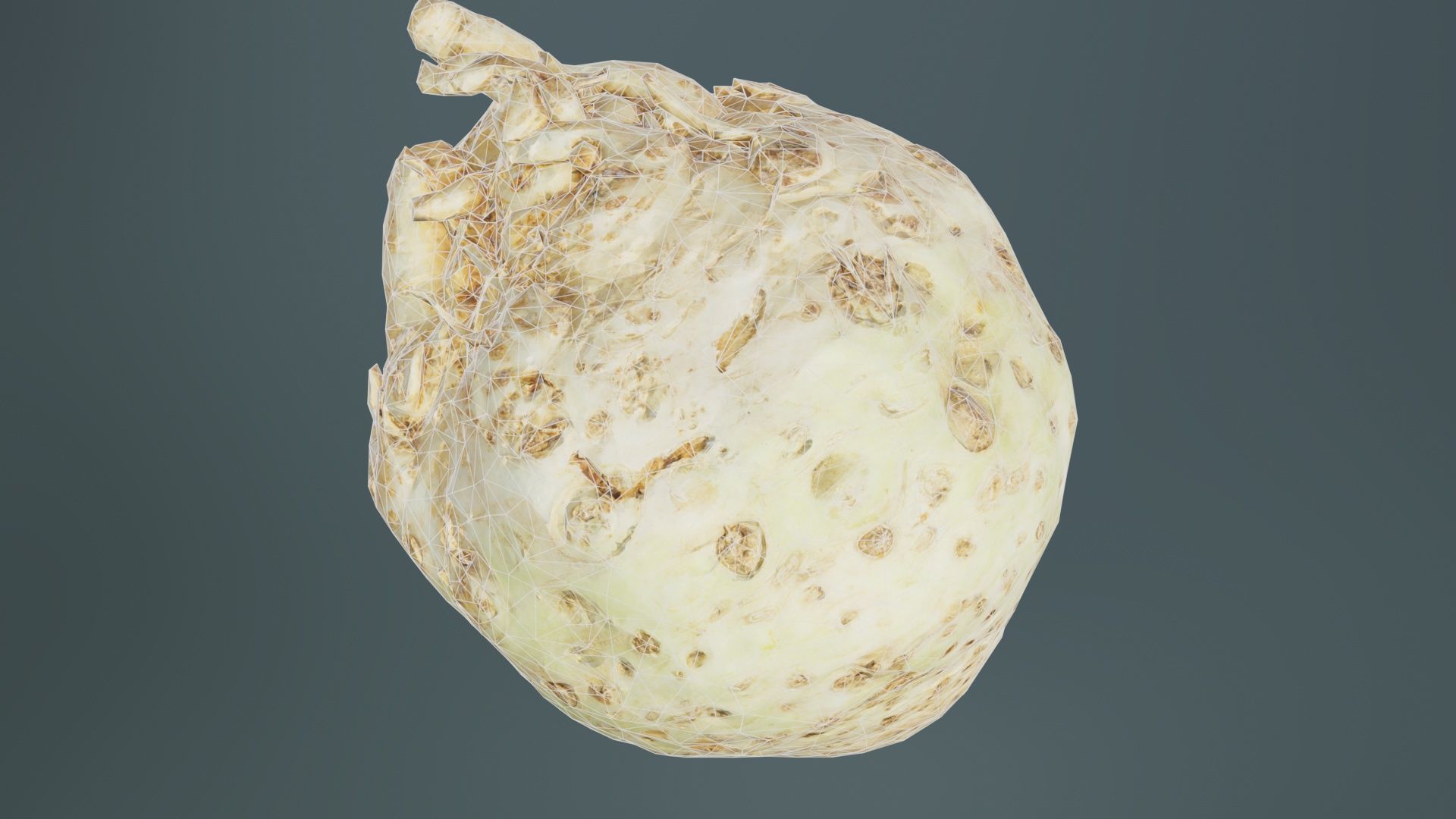 Koolraap Low-poly 3D model_10