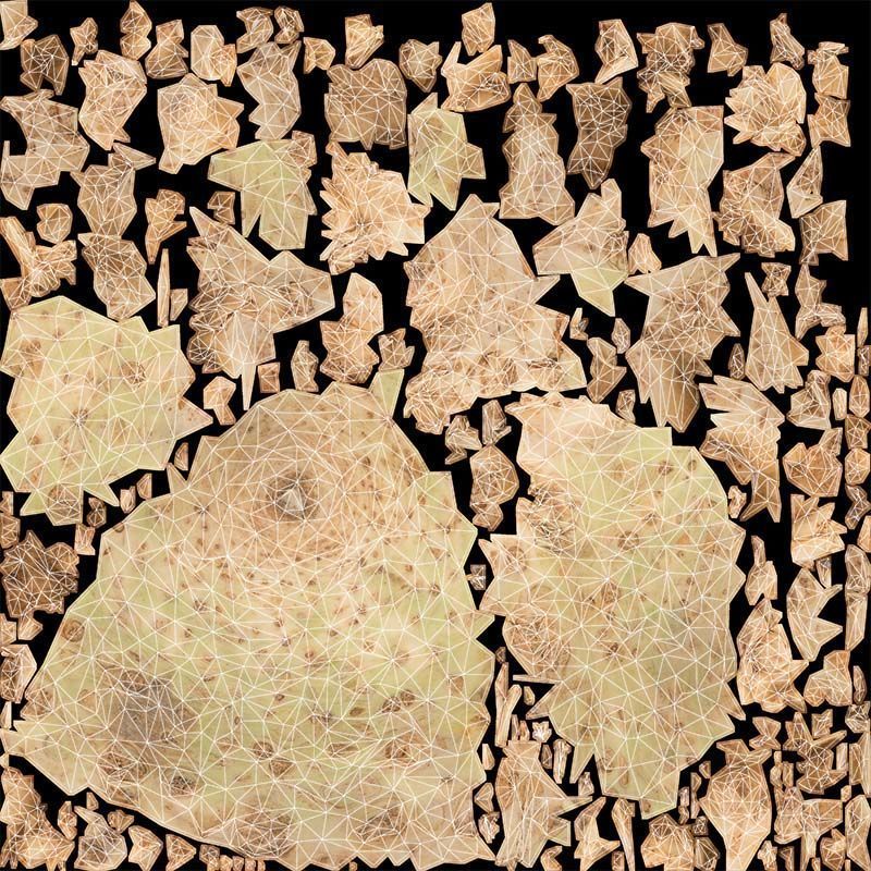 Koolraap Low-poly 3D model_14