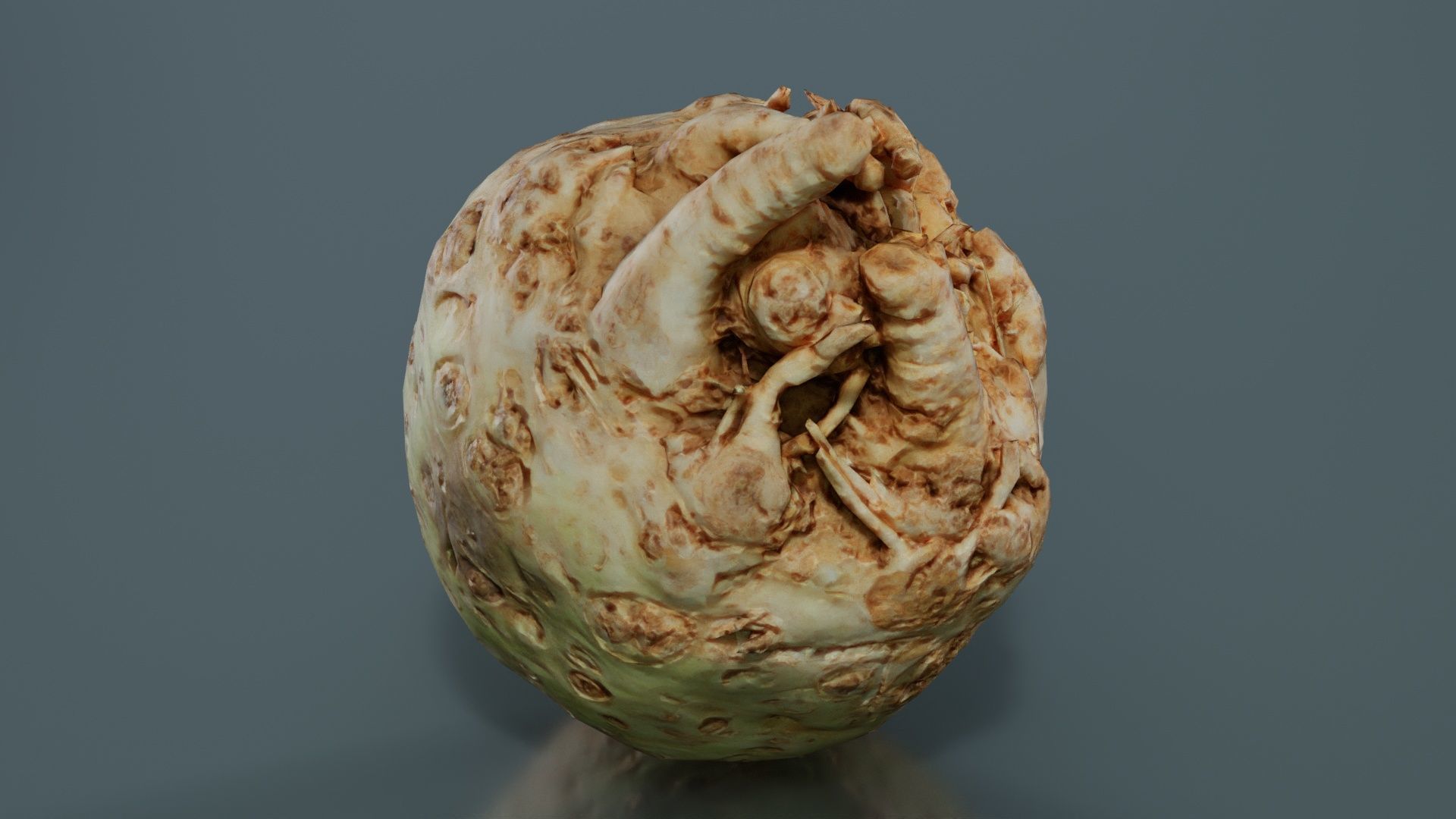 Koolraap Low-poly 3D model_7