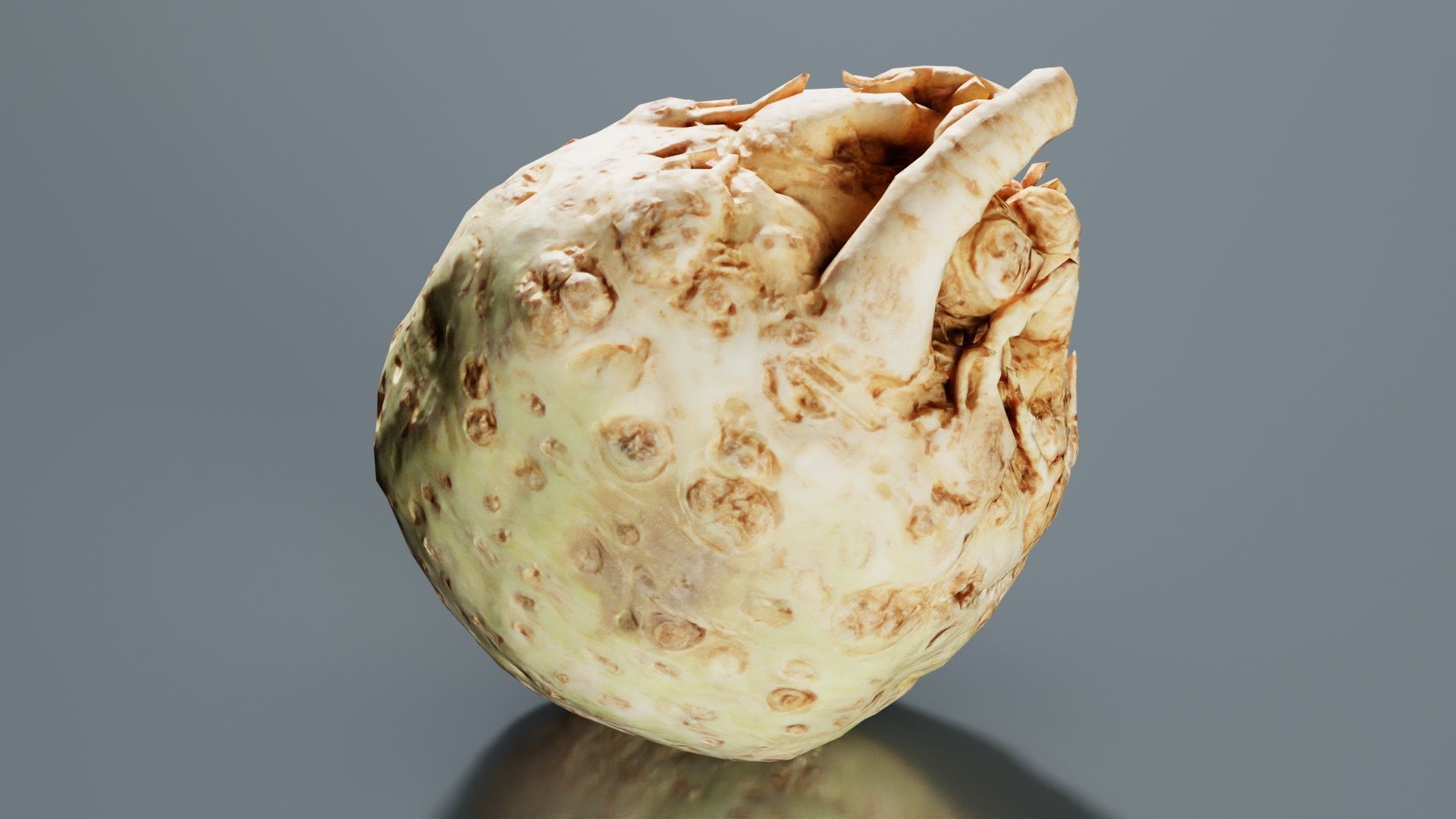 Koolraap Low-poly 3D model_5