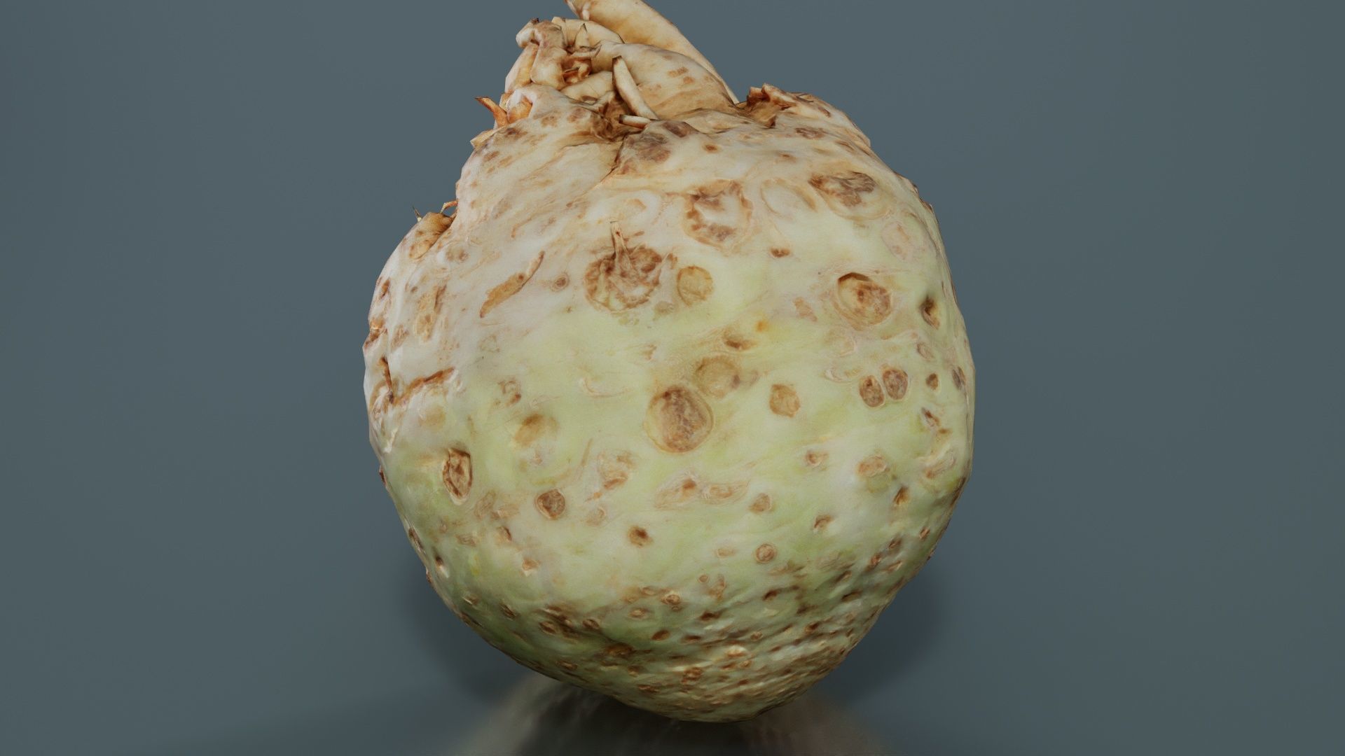 Koolraap Low-poly 3D model_2