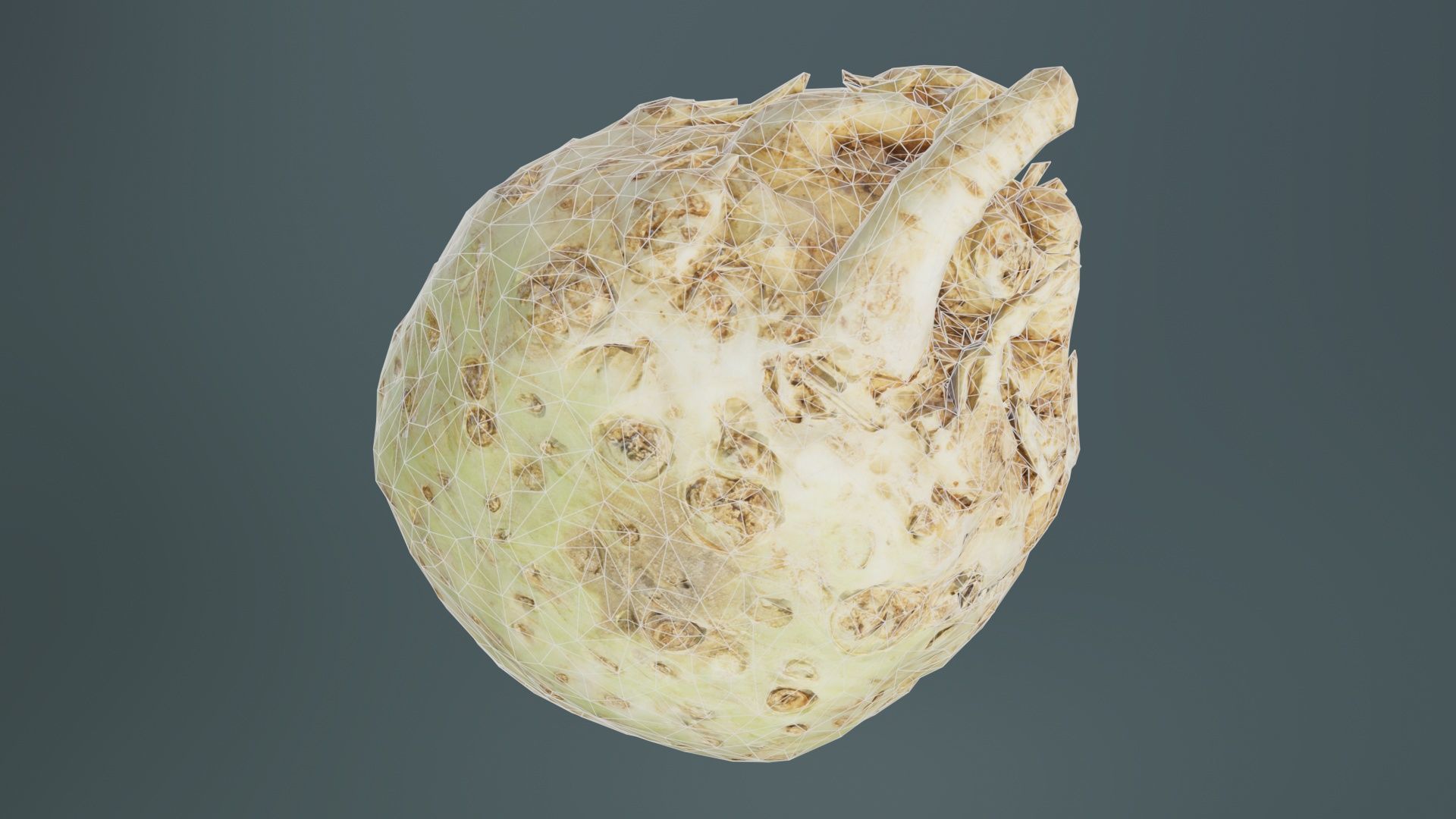 Koolraap Low-poly 3D model_9