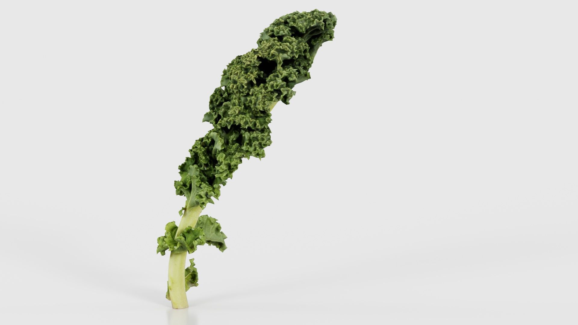 Lettuce 1 Low-poly 3D model_23