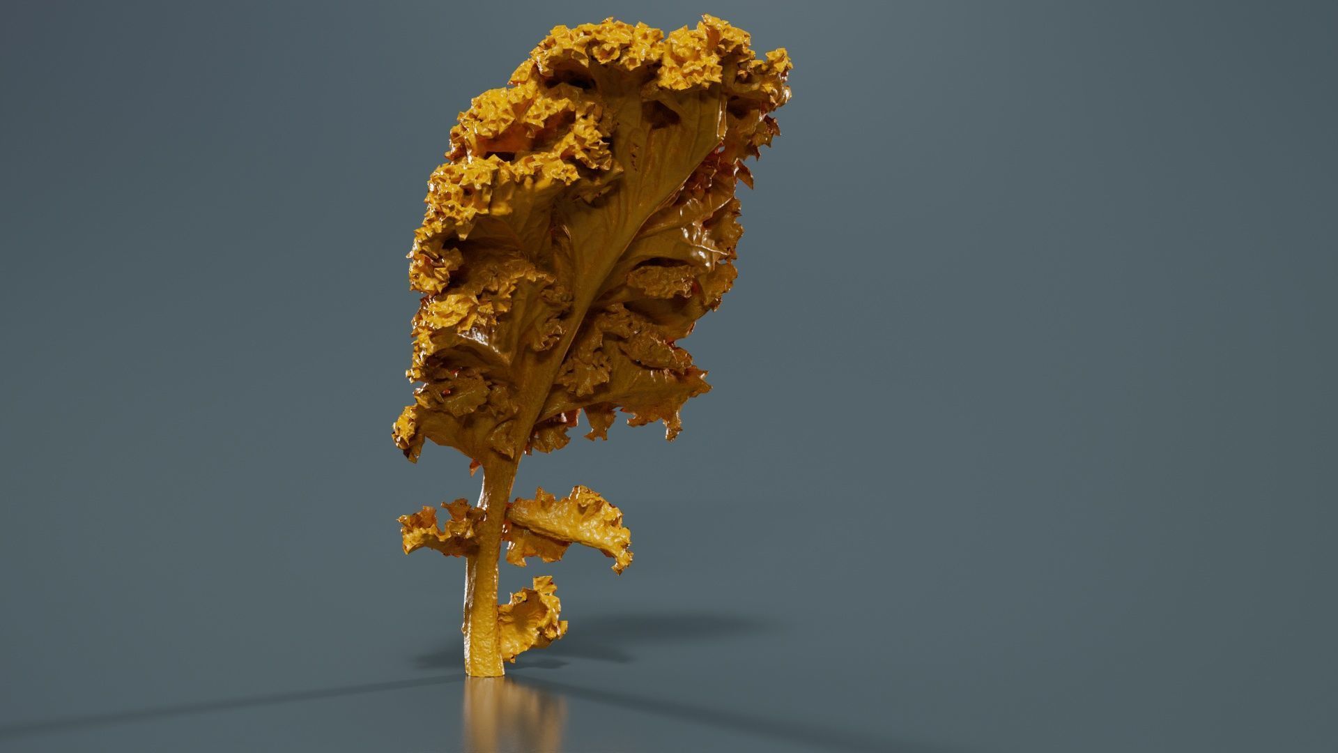 Lettuce 1 Low-poly 3D model_13