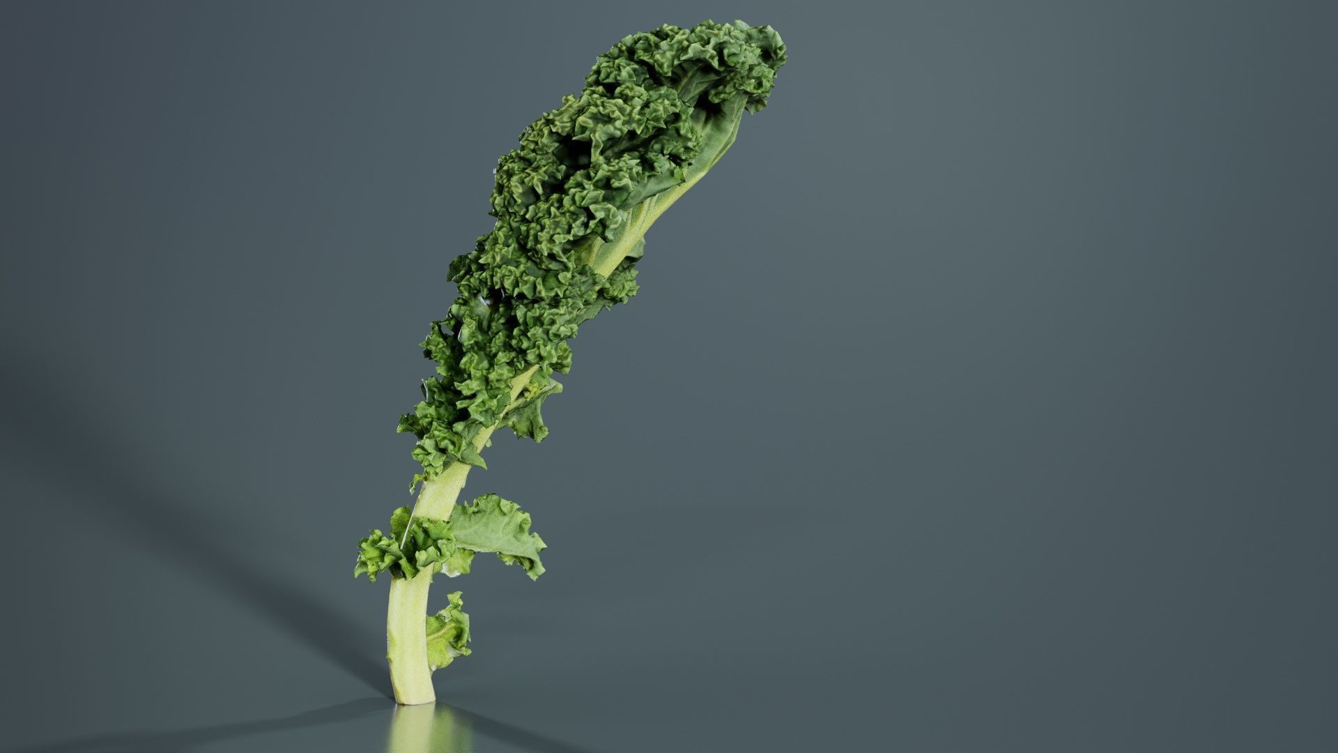 Lettuce 1 Low-poly 3D model_3