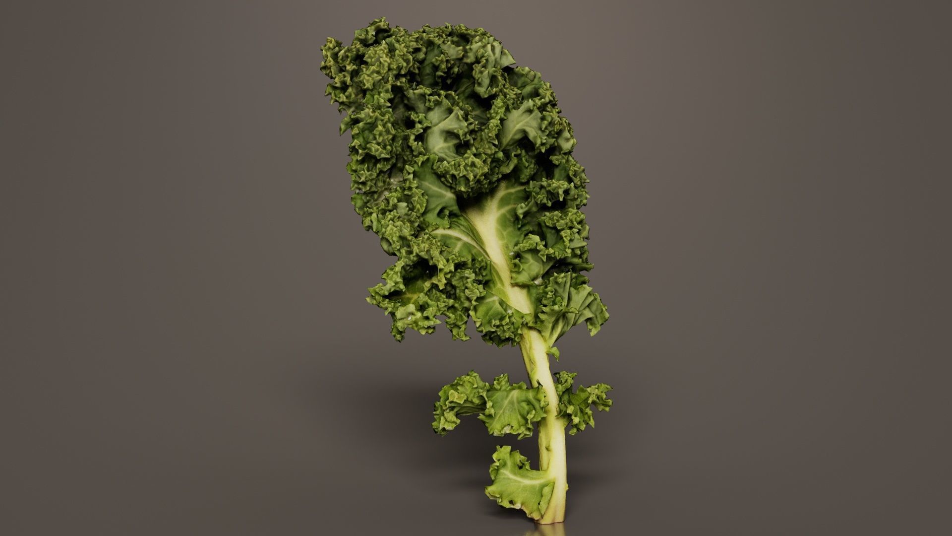 Lettuce 1 Low-poly 3D model_8
