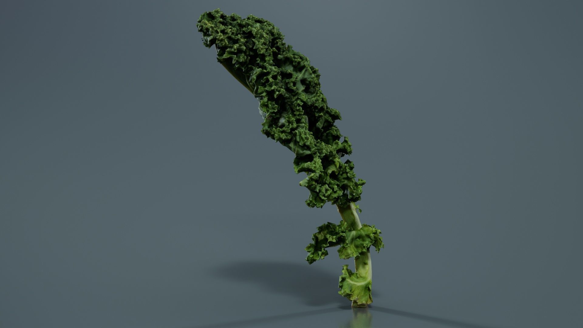 Lettuce 1 Low-poly 3D model_5